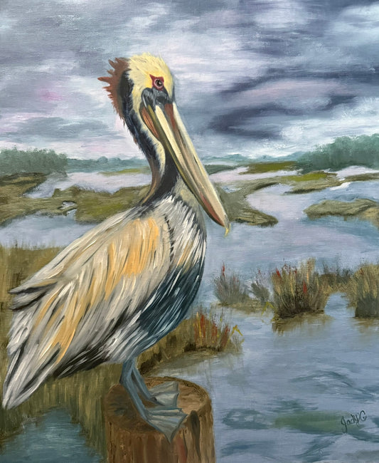 Pelican Brief